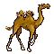 Descripción: http://www.adivinancero.com/images/camello.gif