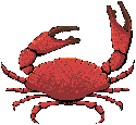 Descripción: http://www.adivinancero.com/images/cangrejo.gif
